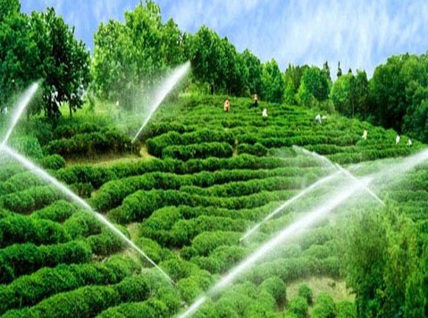 园林交换纯净水处理设备.png