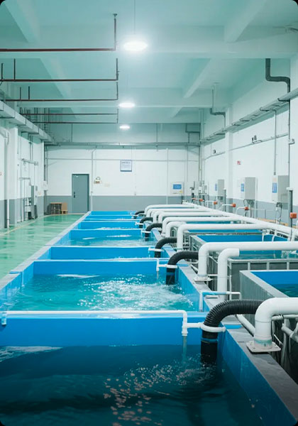 水质调节及加药系统