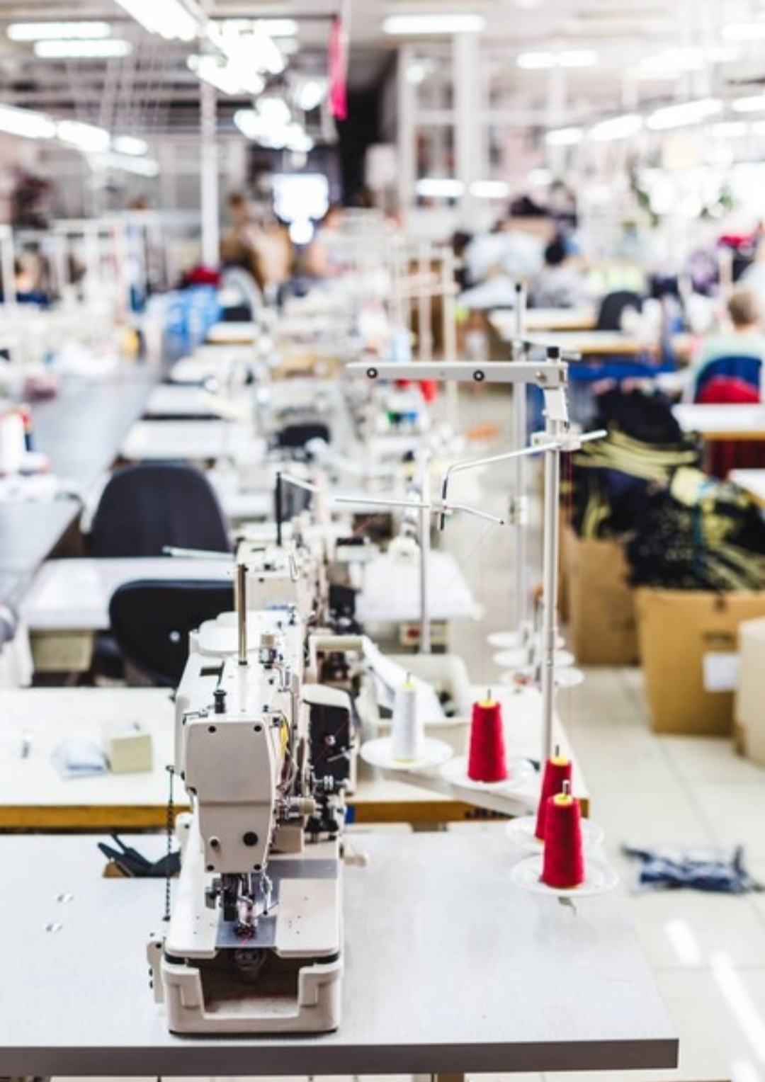 成都滨江制衣有限公司